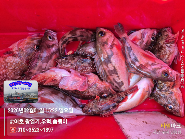 2026-02-01 15.22.16__(#-어초 왕열기.우럭.쏨뱅이)_(-010~3523~1897).jpg