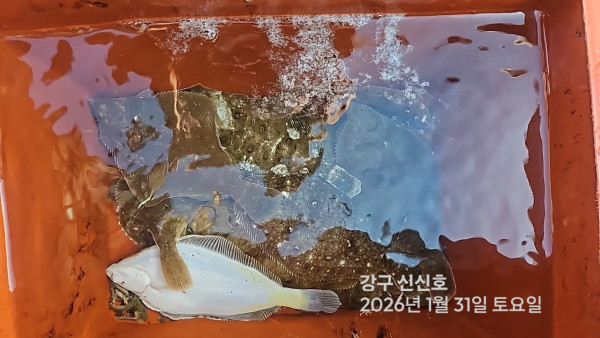 신신낚시 강구점 신신호_사진_20260131_3.jpg
