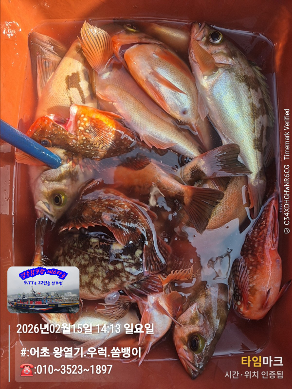 2026-02-15 14.13.47__(#-어초 왕열기.우럭.쏨뱅이)_(-010~3523~1897).jpg