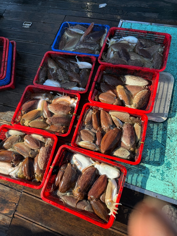 제주 쏘니호_사진_20260219_13.jpg