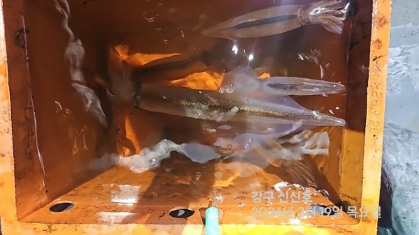 신신낚시 강구점 신신호_사진_20260220_12.jpg