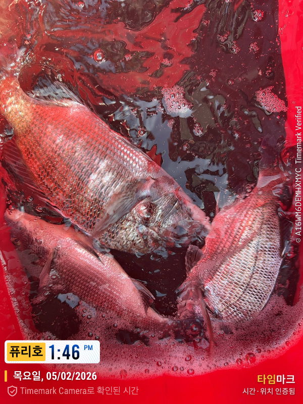2026-02-05 13.46.47_(제목-퓨리호).jpeg
