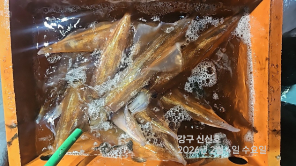 신신낚시 강구점 신신호_사진_20260205_12.jpg