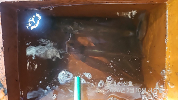 신신낚시 강구점 신신호_사진_20260211_15.jpg