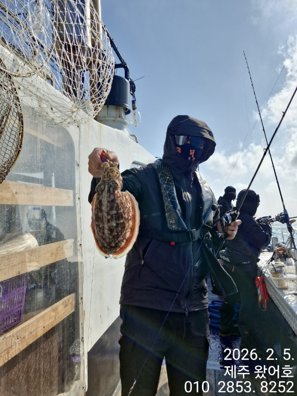 제주왔어호_사진_20260206_31.jpg