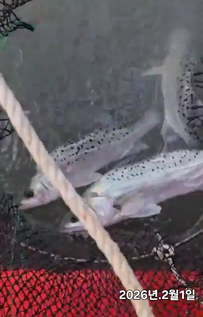 2026_02_01 12_30 (1)(2).jpg