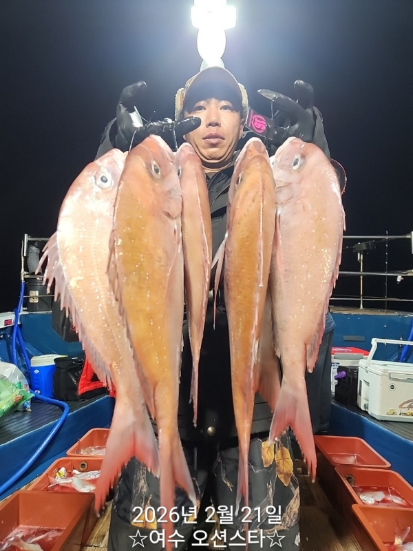 ☆여수오션스타피싱☆쭈꾸미낚시 문어낚시 갑오징어낚시 타이라바 여수갈치낚시 갈치지깅_사진_20260222_13.jpg