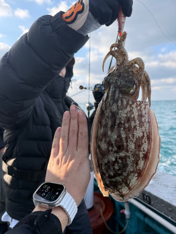 제주 쏘니호_사진_20260210_5.jpg