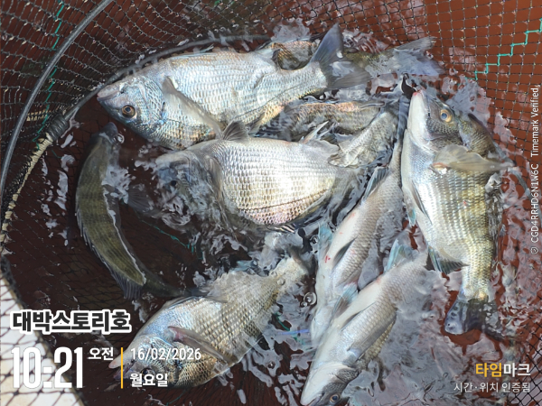 2026-02-16 10.21.58__(대박스토리호).jpg