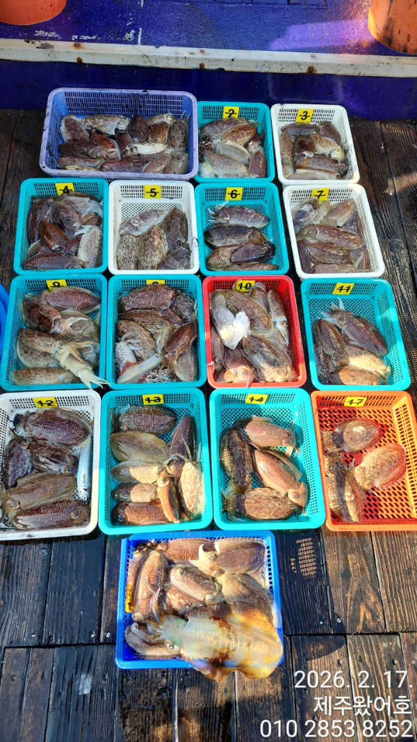 제주왔어호_사진_20260218_1.jpg