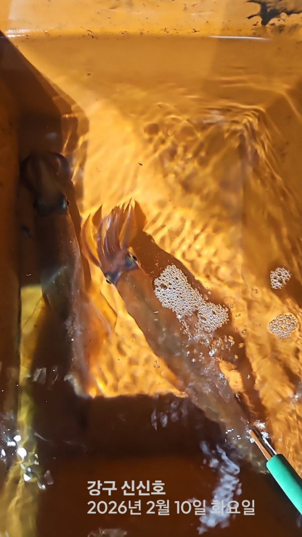 신신낚시 강구점 신신호_사진_20260211_6.jpg