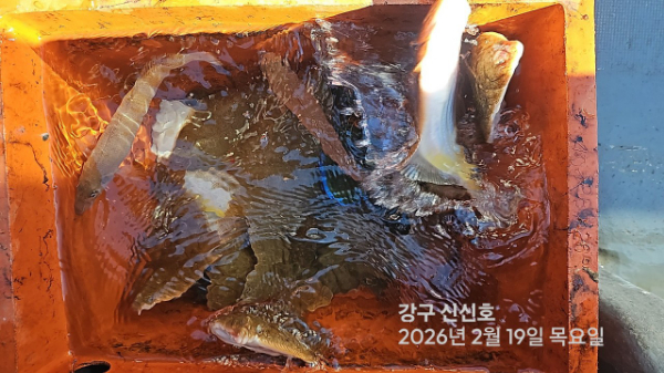 신신낚시 강구점 신신호_사진_20260219_9.jpg