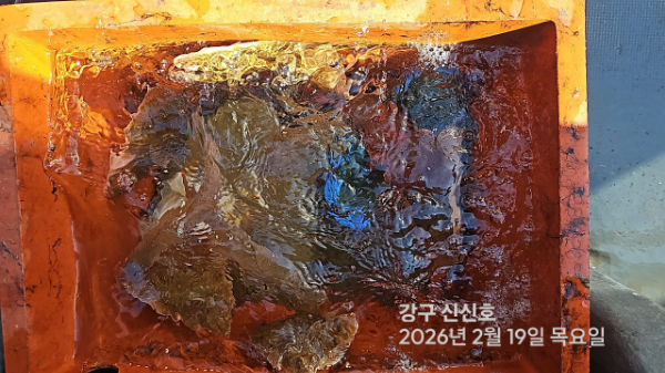 신신낚시 강구점 신신호_사진_20260219_13.jpg