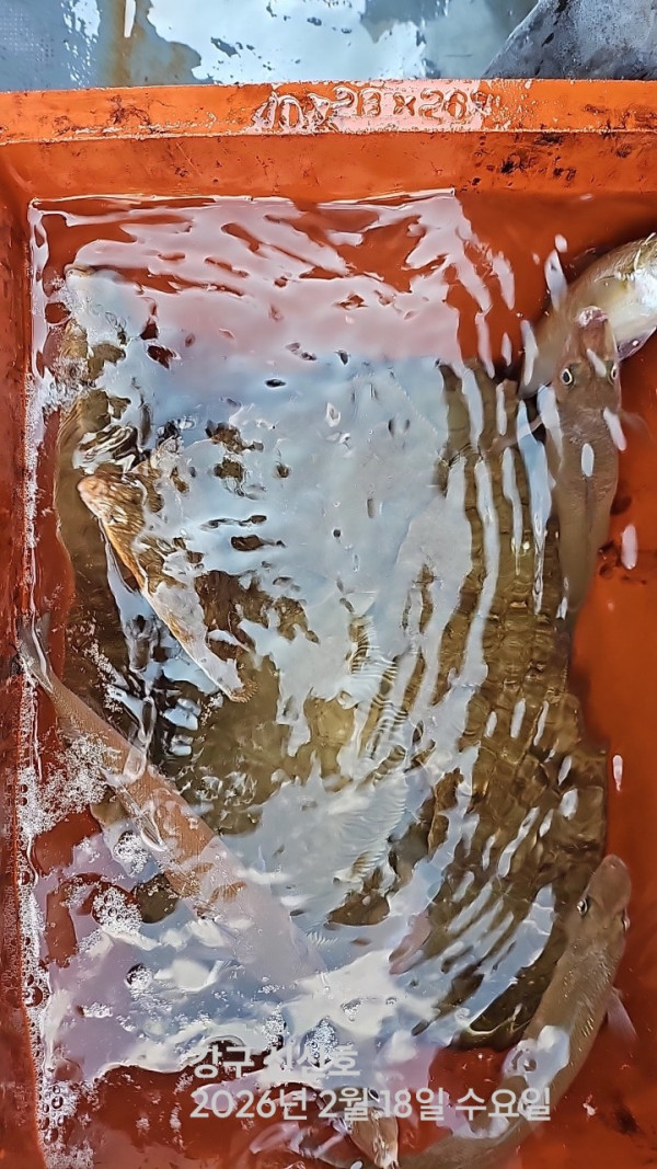 신신낚시 강구점 신신호_사진_20260218_2.jpg