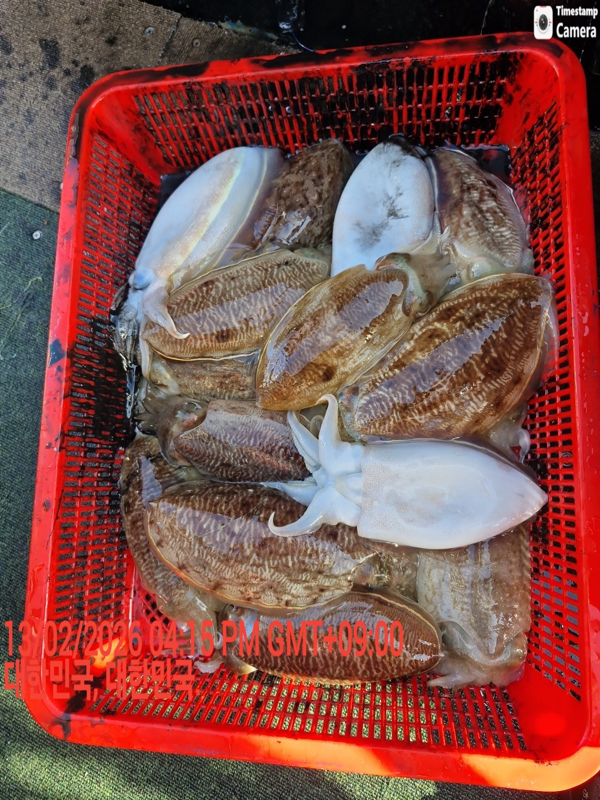 제주갈치낚시 화원호_사진_20260214_19.jpeg