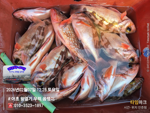 2026-02-07 12.25.02__(#-어초 왕열기.우럭.쏨뱅이)_(-010~3523~1897).jpg