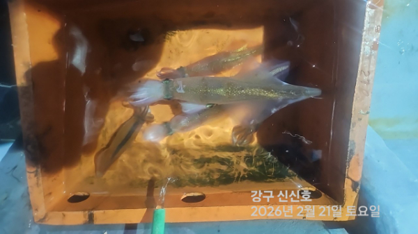 신신낚시 강구점 신신호_사진_20260222_7.jpg