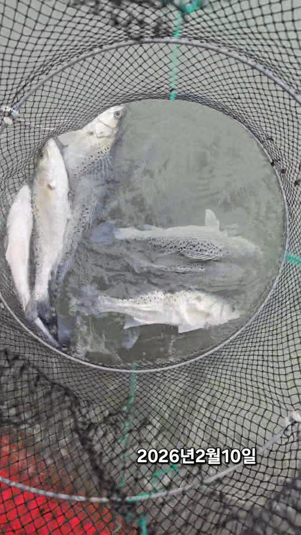 2026_02_10 12_16 (2)(2).jpg