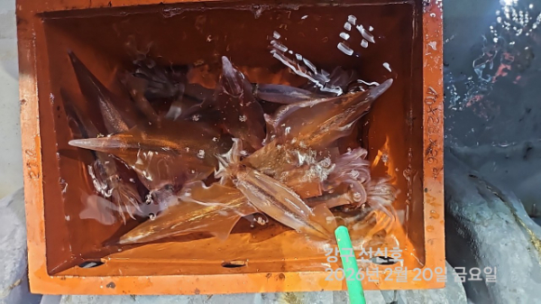 신신낚시 강구점 신신호_사진_20260221_16.jpg