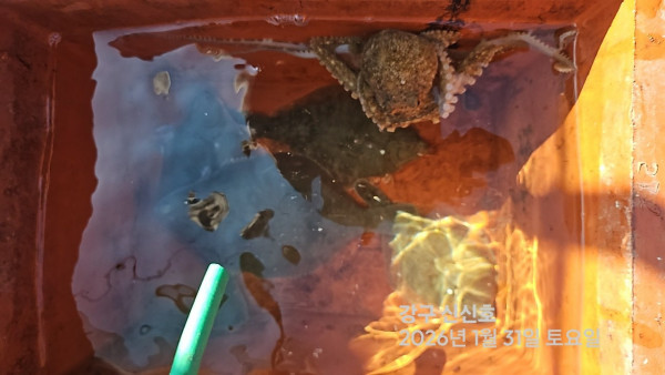 신신낚시 강구점 신신호_사진_20260131_7.jpg