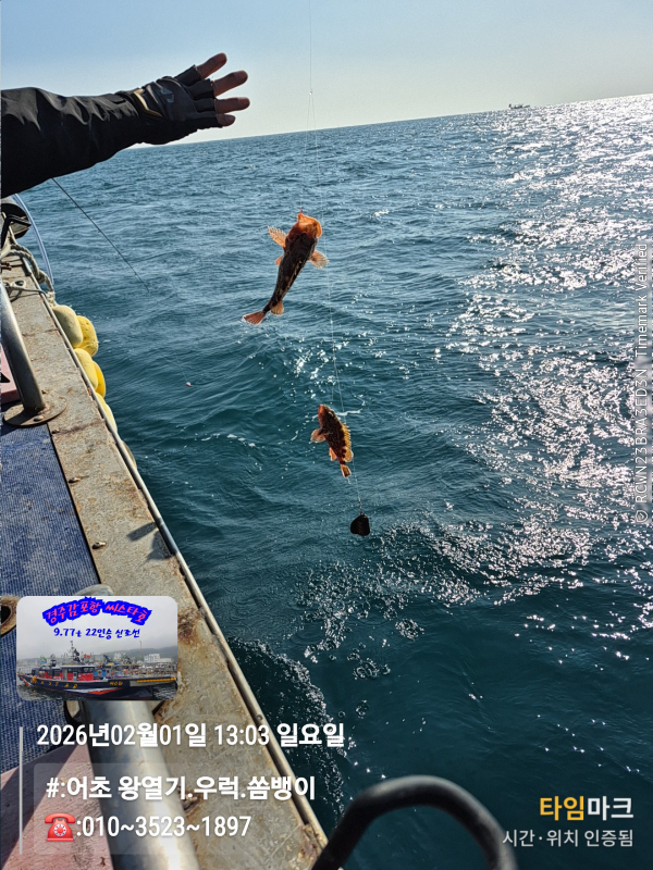 2026-02-01 13.03.07__(#-어초 왕열기.우럭.쏨뱅이)_(-010~3523~1897).jpg