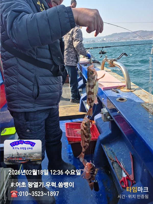 2026-02-18 12.36.27__(#-어초 왕열기.우럭.쏨뱅이)_(-010~3523~1897).jpg