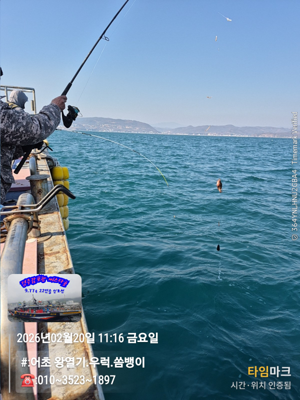 2026-02-20 11.16.23__(#-어초 왕열기.우럭.쏨뱅이)_(-010~3523~1897).jpg