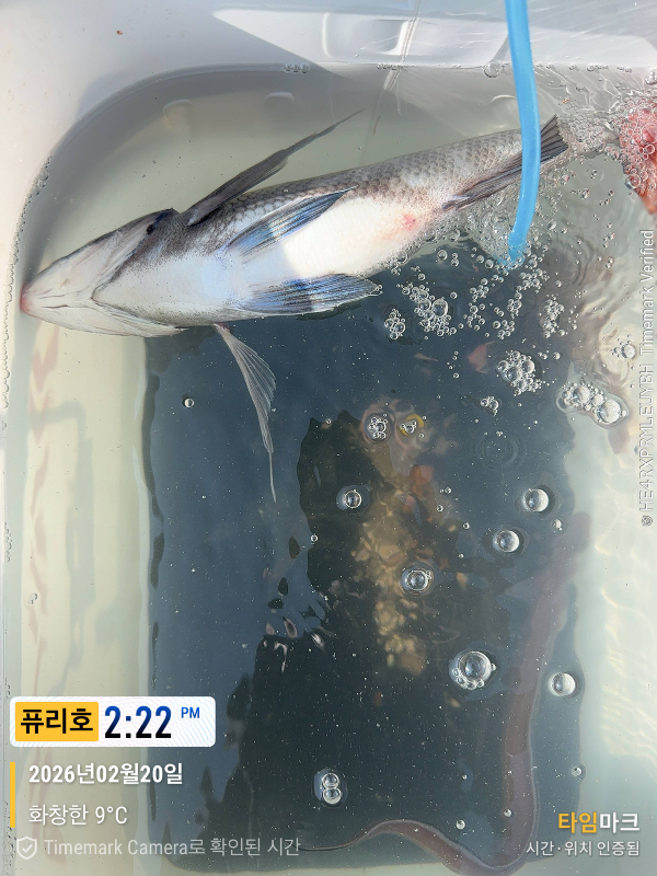 2026-02-20 14.22.36_(제목-퓨리호).jpeg