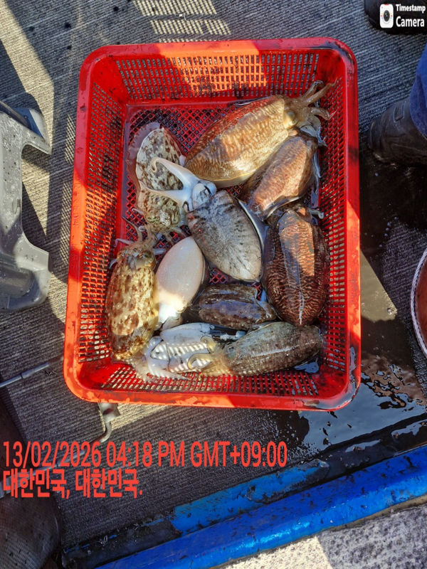 제주갈치낚시 화원호_사진_20260214_20.jpeg