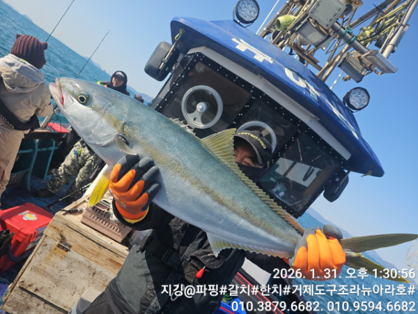 거제도 구조라  뉴아라호 (지깅, 파핑,한치,갈치,타이바라 전문)_사진_20260201_5.jpg