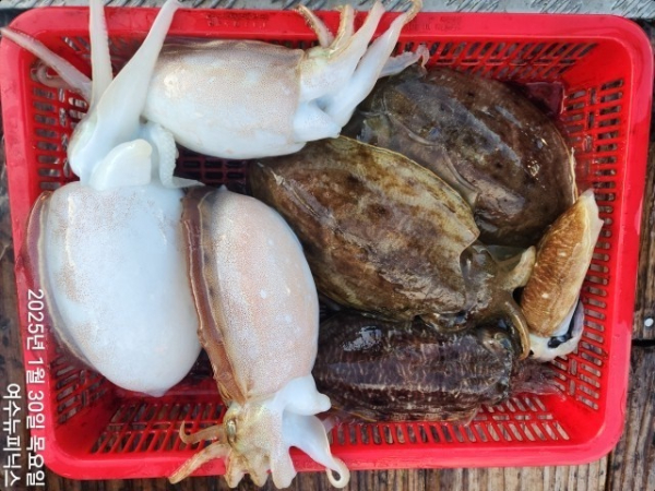 1월30일심해갑 (13)-tile.jpg