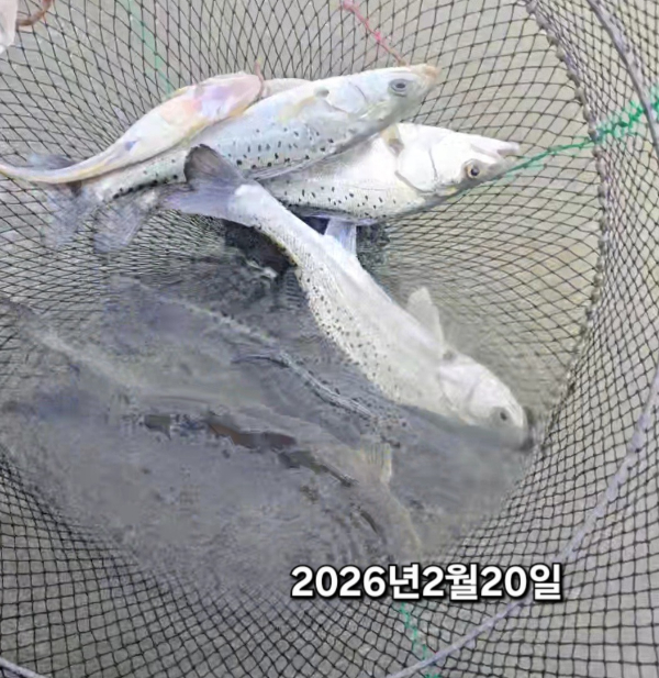 2026_02_20 14_32(1).jpg