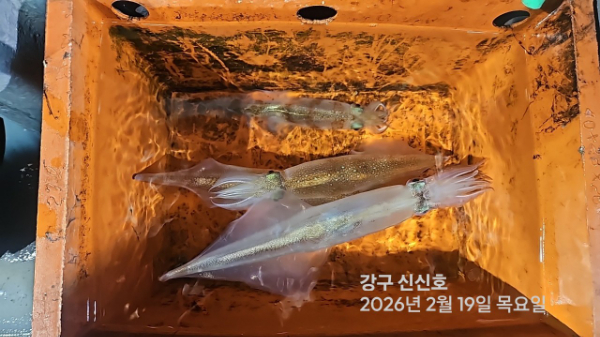신신낚시 강구점 신신호_사진_20260220_7.jpg