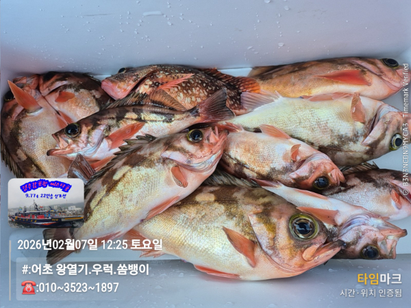 2026-02-07 12.25.57__(#-어초 왕열기.우럭.쏨뱅이)_(-010~3523~1897).jpg