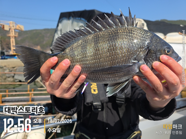 2026-02-18 12.56.29__(대박스토리호).jpg
