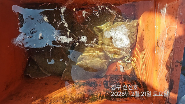 신신낚시 강구점 신신호_사진_20260221_16.jpg