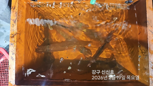 신신낚시 강구점 신신호_사진_20260220_6.jpg