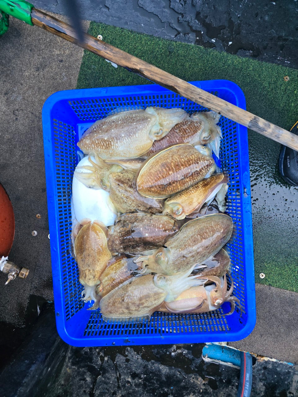 제주갈치낚시 화원호_사진_20260212_20.jpeg