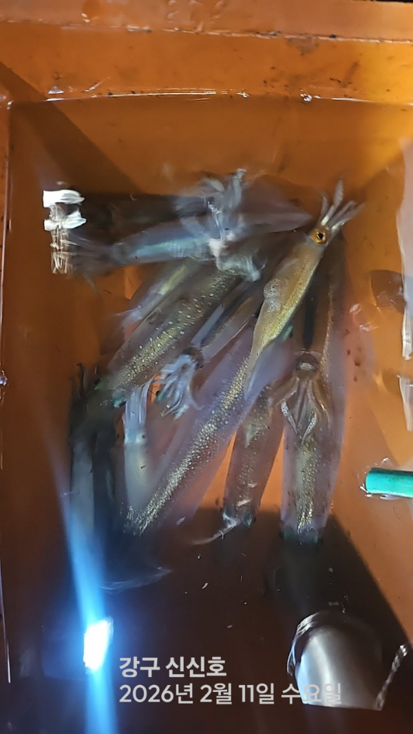 신신낚시 강구점 신신호_사진_20260212_10.jpg