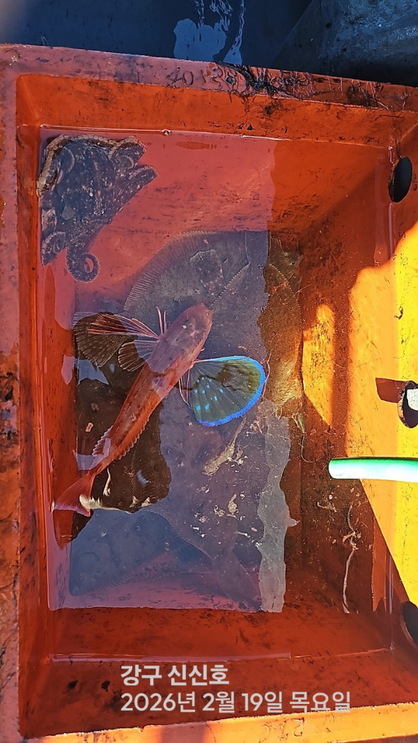 신신낚시 강구점 신신호_사진_20260219_15.jpg