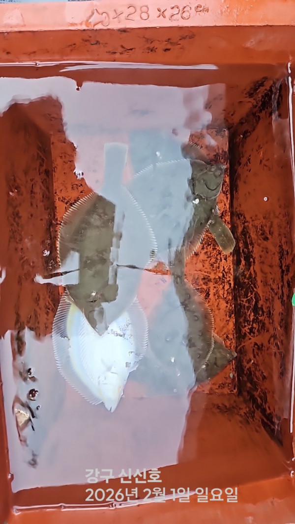 신신낚시 강구점 신신호_사진_20260201_9.jpg