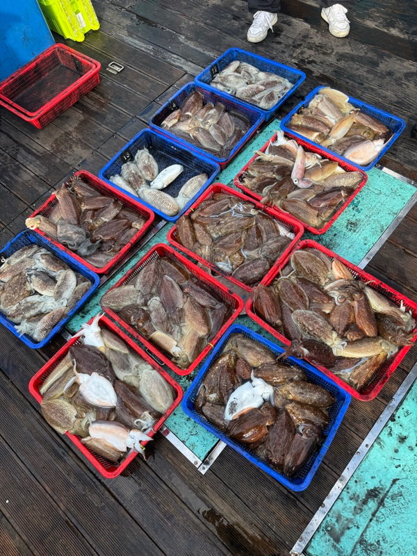 제주 쏘니호_사진_20260205_2.jpg