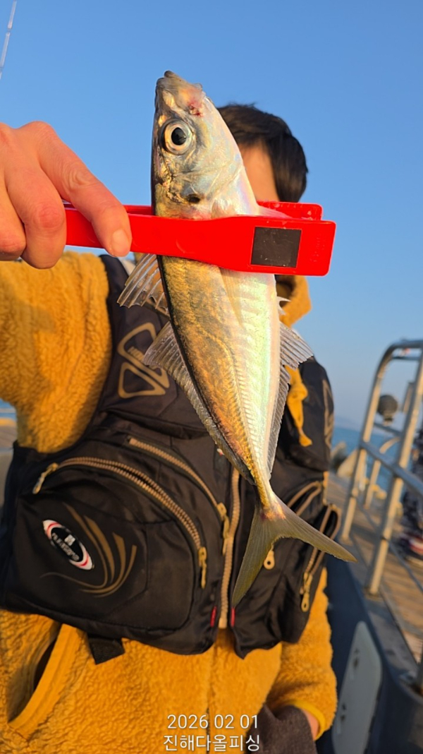 ☆진해 다올피싱☆문어 갈치 선상 낚시_사진_20260202_1.jpg