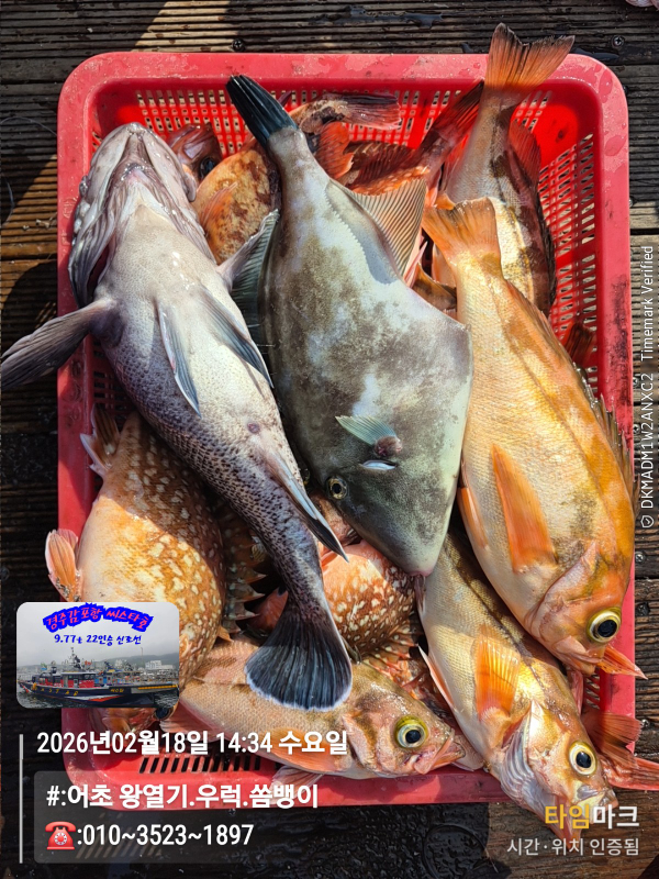 2026-02-18 14.34.30__(#-어초 왕열기.우럭.쏨뱅이)_(-010~3523~1897).jpg