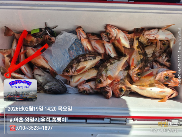 2026-02-19 14.20.53__(#-어초 왕열기.우럭.쏨뱅이)_(-010~3523~1897).jpg