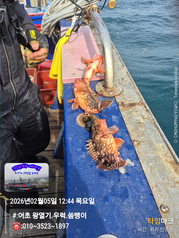 2026-02-05 12.44.07__(#-어초 왕열기.우럭.쏨뱅이)_(-010~3523~1897).jpg