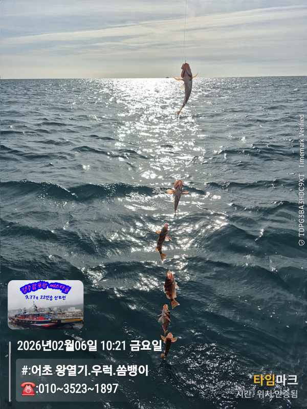 2026-02-06 10.21.47__(#-어초 왕열기.우럭.쏨뱅이)_(-010~3523~1897).jpg