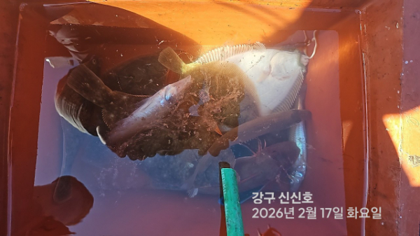 신신낚시 강구점 신신호_사진_20260217_15.jpg