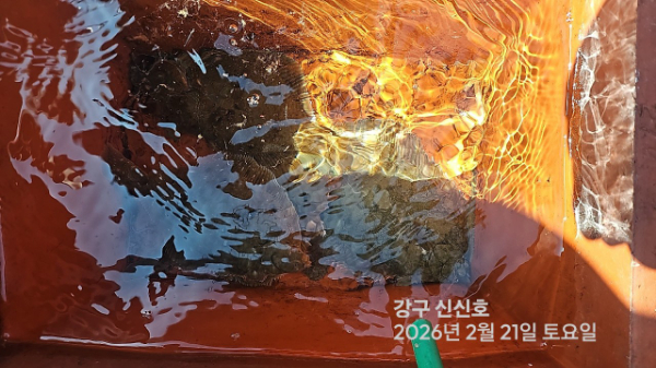 신신낚시 강구점 신신호_사진_20260221_17.jpg