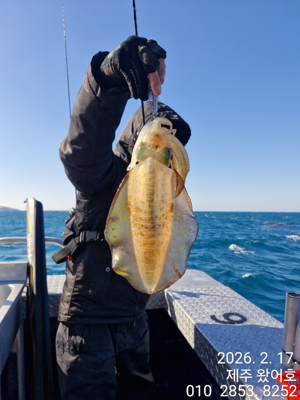 제주왔어호_사진_20260218_20.jpg